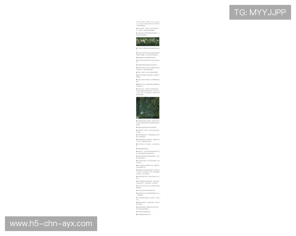 赛季新鲜事：联盟最新变化和亮点，联盟赛季更新了吗